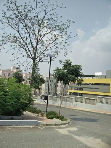 Solar Street Light Pole