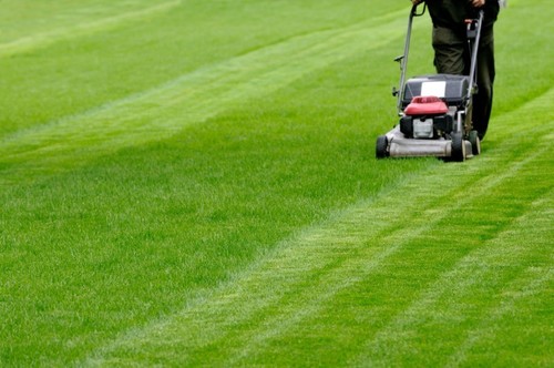 Lawn Maintenance