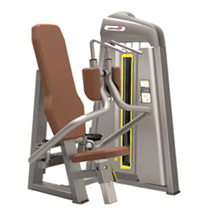 Pectoral Fly (Butterfly)