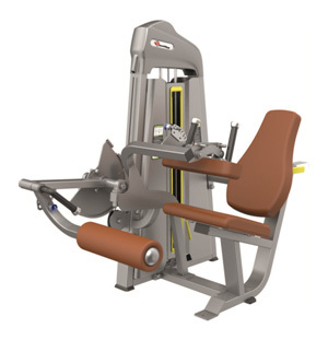 Seated Leg Curl