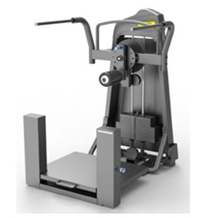 Total Hip (Multi Hip)