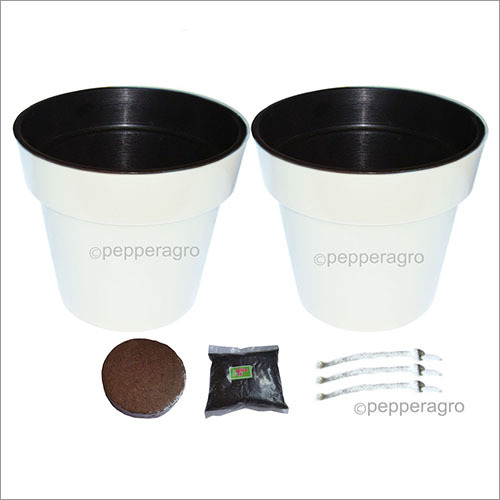 Self Watering Planter 6inch White