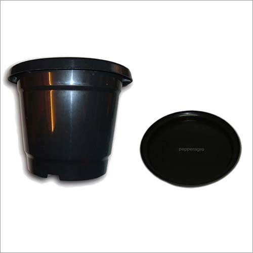 Nursery Black Pot