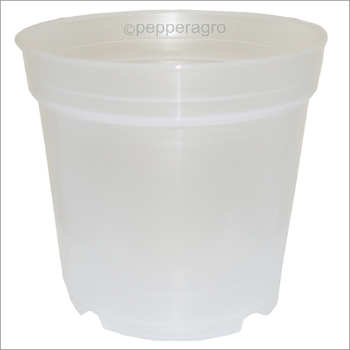 Orchid Transparent planter