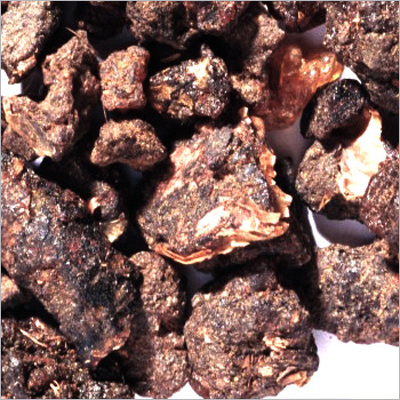 Commiphora Mukul