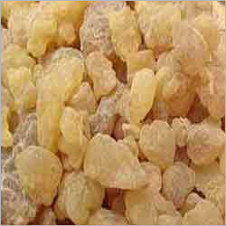 Gum Olibanum