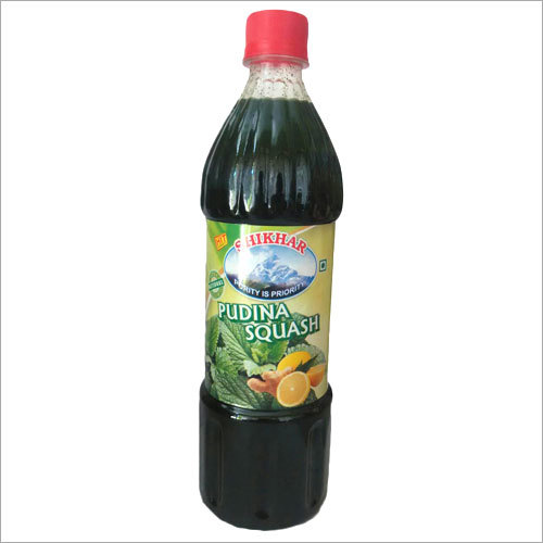 Pudina Squash