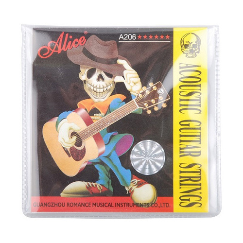 Alice Guitar Application: Professional Singing