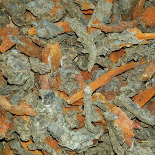Mother Turmeric Mother Turmeric
