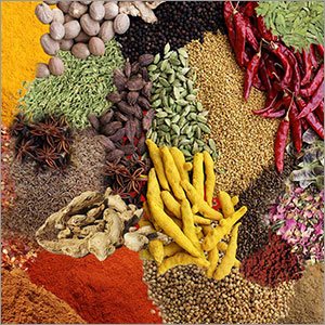Spices and Seasoning