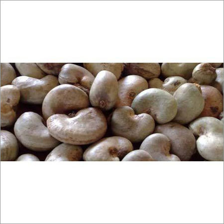 Benin Raw Cashew Nut