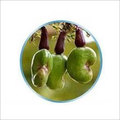 Ogbomosho Raw Cashew Nut