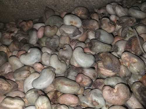 Raw Cashew Nuts Raw Cashew Nuts