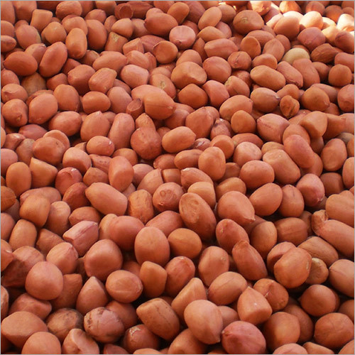 Java Peanut Broken (%): 1%