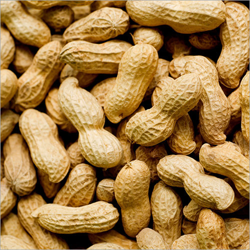 Groundnut Shell Broken (%): 0.10%