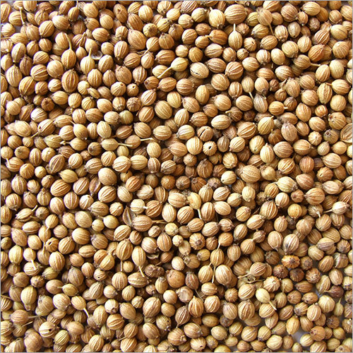 Coriander Seed - Golden Brown Organic Spices Seeds | Top Grade, 99% Purity, 10% Moisture, 0.10% Admixture, Hybrid 1