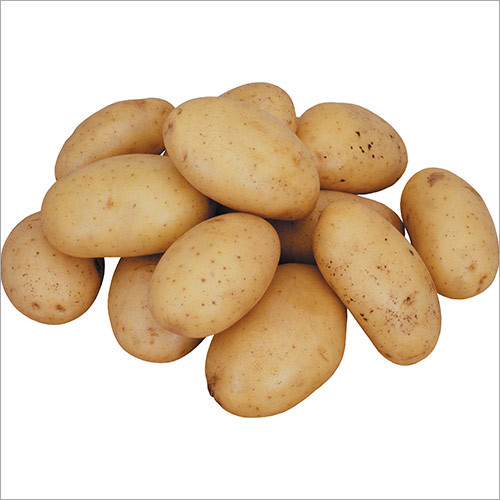 Potato