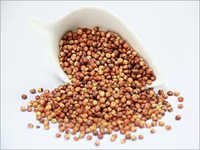 Protein Pulses