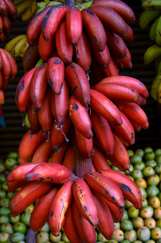 Red Banana (Sevvazhai) Origin: India