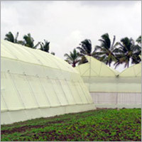 White Shade Nets