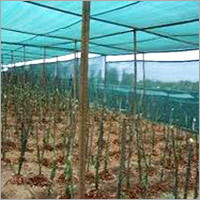 Plant Supporting Nets