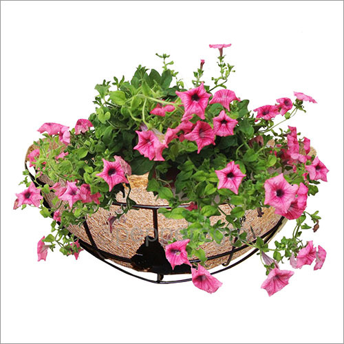 Coco Fiber Hanging Half Circle