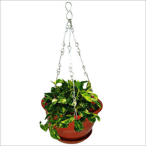 Hanging Planter With Base Plate Metal Terracotta
