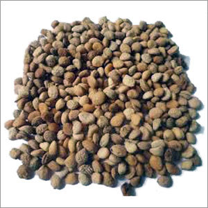 Herbal Seed