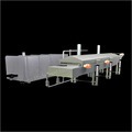 Automatic Potato/Banana Chips Fryer