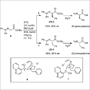 Phase Transfer Catalyst, Glycines