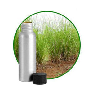 Vetiver Oil