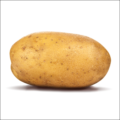 Potato