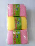 Scouring Pad