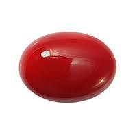 Emerald Cut Red Coral