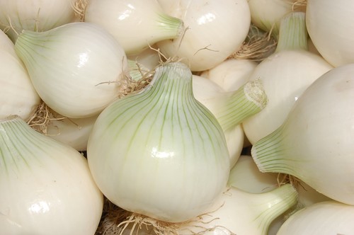 White Onion