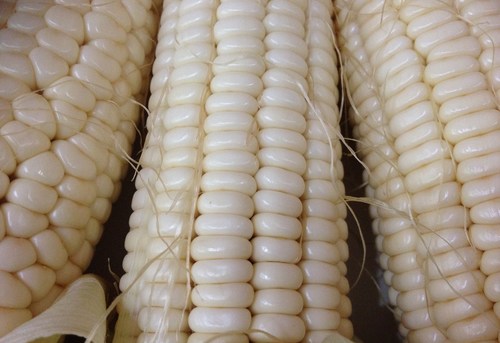 White Maize Admixture (%): 0.10%