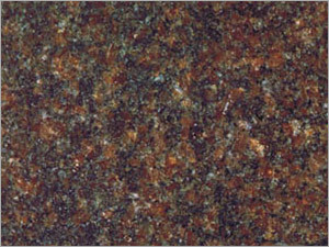 Indian Mahagony Granite