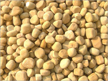 Teak Wood Pebbles