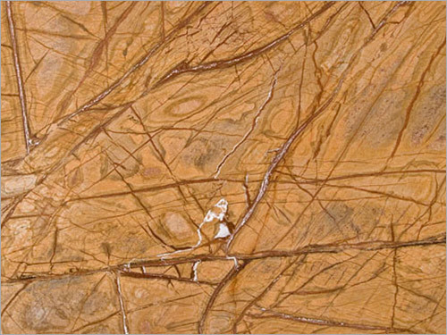 Bidasar Golden Marble