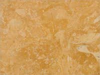 Jaisalmer Yellow Flowery Gold