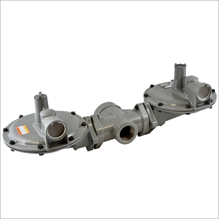 Rotary Positive Displacement meter