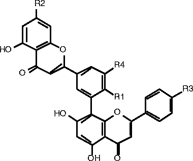 Ginkgo Biloba Terpene Lactones Mix