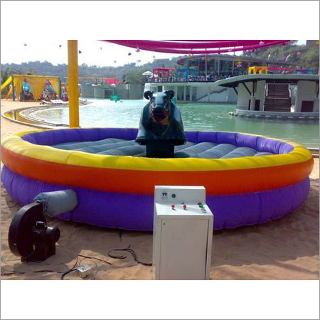 Mechanical Bull Ride