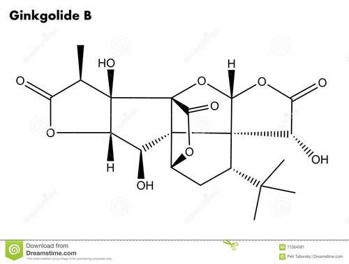 Ginkgolide B from Ginkgo biloba leaves