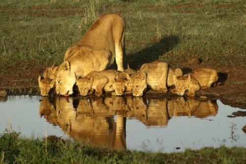 Kenya & Tanzania - 11 Days