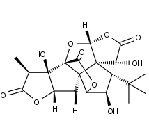 Ginkgolide J