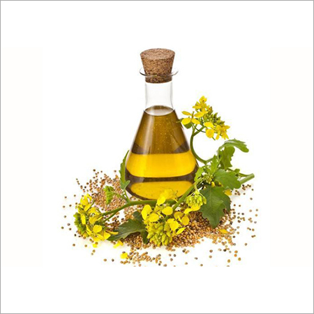 Ajowan Seed 60% Oil Cas No: 91745-13-0