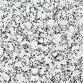 Platinum White Granite