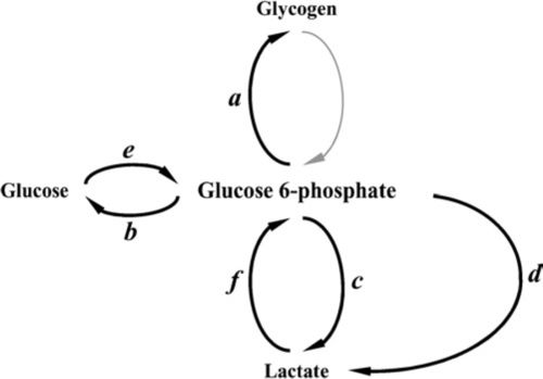 Glucose (isotope ratio)