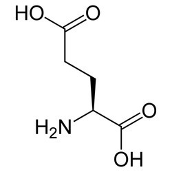  ग्लूटामिक एसिड C5H9No4